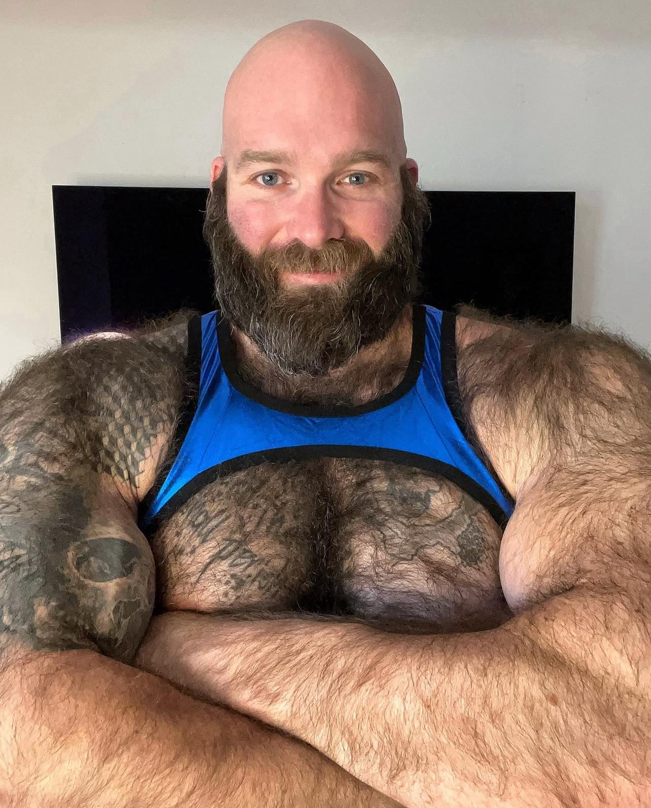 GetAllMyLinks - hairy_musclebear